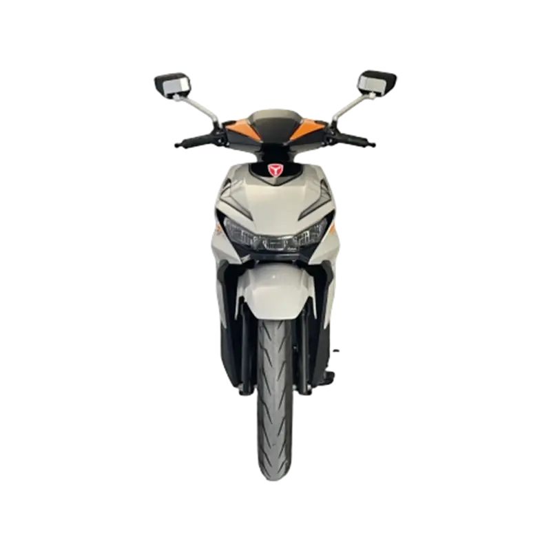 Scooter de banlieue électrique EX008
